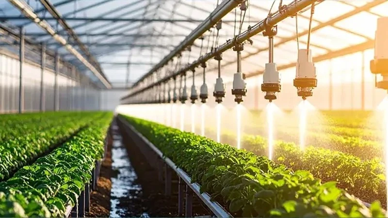 Agricultural greenhouse operations